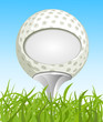 Golf ball on the grass and place for text