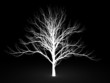 Stencil a tree on a black background