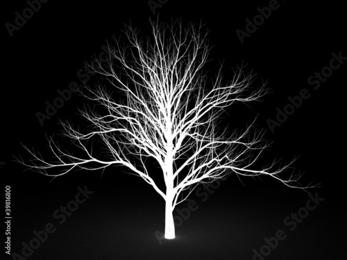 Illustration: Stencil a tree on a black background Stencil a tree on a black background