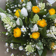 Colorful variety of flowers
