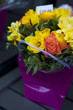 Colorful variety of flowers