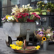 Colorful variety of flowers in iron trolley