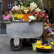 Colorful variety of flowers in iron trolley