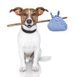 dog with a stick and a blue bad
