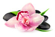 Spa stones with orchid.