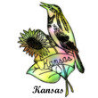 kansas state bird