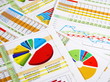 Annual Report in Graphs and Diagrams Annual Report in Graphs and Diagrams