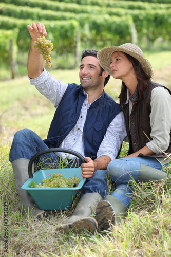 Photo: Farmer and wife sat with basket of grapes Farmer and wife sat with basket of grapes
