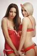 Blonde and brunette portrait