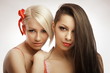 Blonde and brunette portrait