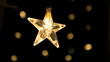 Christmas star