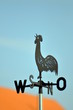Wetterhahn