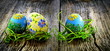 Easter eggs and natural wooden country table Easter eggs and natural wooden country table