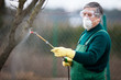 gardener applying an insecticide/a fertilizer to his fruit