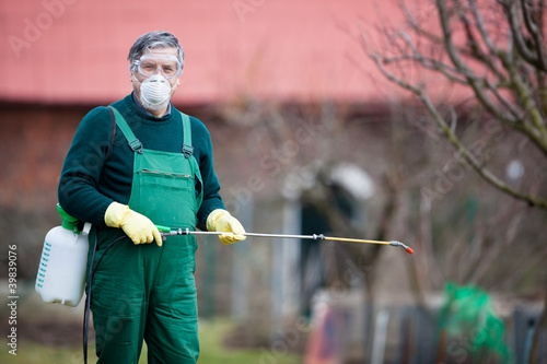 Photo: gardener applying an insecticide/a fertilizer to his fruit gardener applying an insecticide/a fertilizer to his fruit