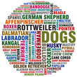 dogs
