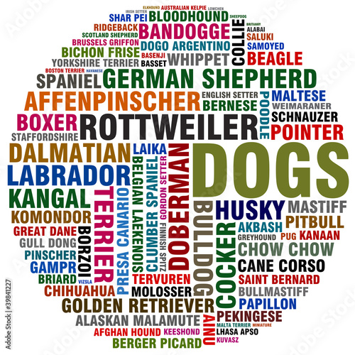 Illustration: dogs dogs
