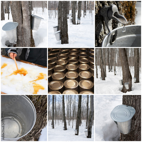 Photo: Maple syrup production Maple syrup production