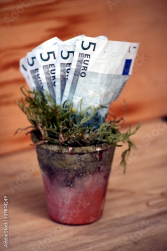 Foto: Blumentopf mit wachsendem Geld euro Blumentopf mit wachsendem Geld euro