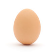 Brown egg