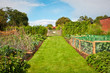 Vegetable garden