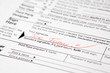 Funny signed tax form