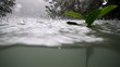 ropical rain above river running through mangrove ropical rain above river running through mangrove