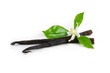 Vanilla sticks with flower