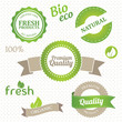 Vector: set of eco and organic elements set of eco and organic elements