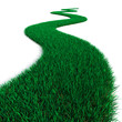 Green Grass path