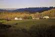 cotswolds