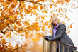 Photo: Beautiful Girl in Park Beautiful Girl in Park