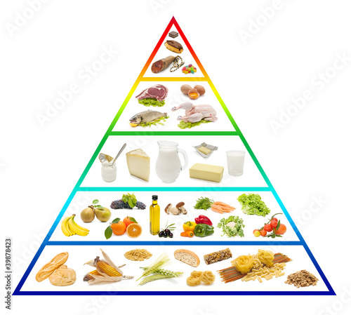 Photo: food pyramid food pyramid