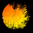 soleil motif végétation forêt