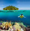 Photo: Corals, diver and palm island Corals, diver and palm island