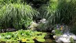 petit bassin aquatique de jardin petit bassin aquatique de jardin