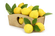 Wooden box full of lemons