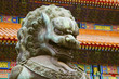 Lion - Forbidden City, Beijing Lion - Forbidden City, Beijing