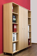 bookcase with folders bookcase with folders
