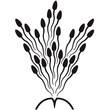 design_sperm_shot_1c