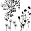 collection, for designers, plant vector collection, for designers, plant vector
