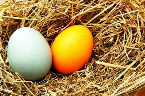 Foto: Easter eggs Easter eggs