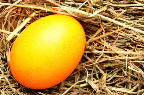 Foto: Easter egg Easter egg