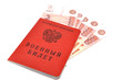 identity card of the Russian army and money