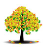 The tree image
