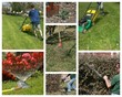jardinage