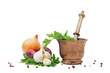 Foto: aromates et épices au pilon sur fond blanc aromates et épices au pilon sur fond blanc