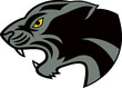 Black panther head