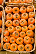 Persimmon