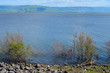 The shore of Lake Kineret The shore of Lake Kineret
